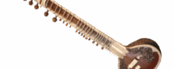 Le sitar – Inde